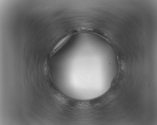 X0000067000915200604142255