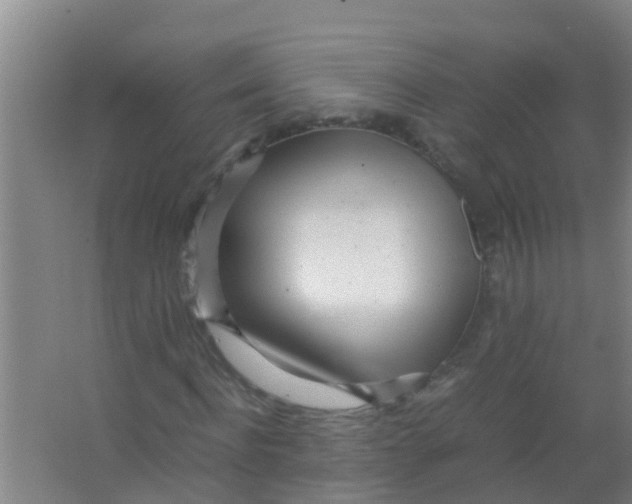 X0000067000916200604142255