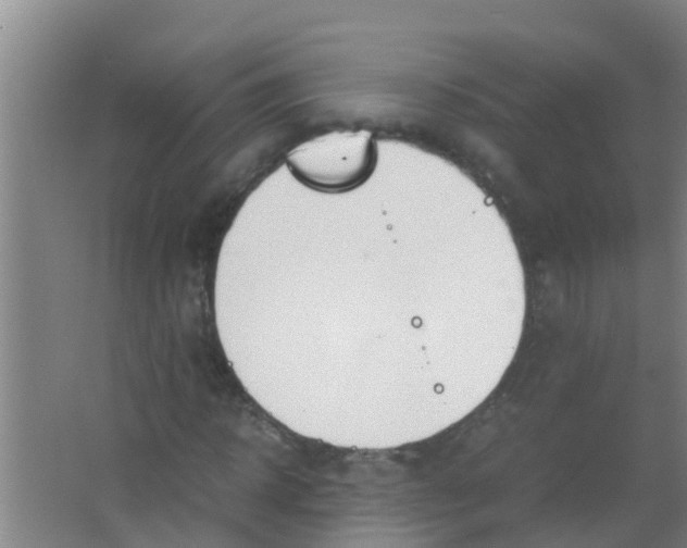 X0000067000918200604142255