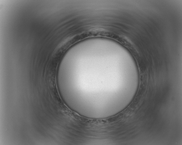 X0000067000919200604142255