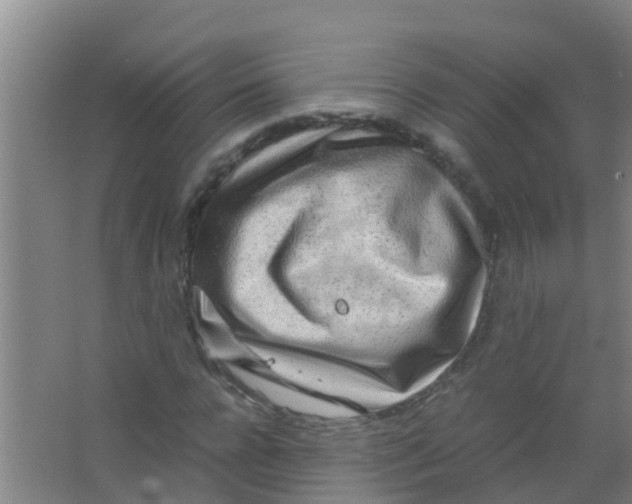 X0000067000920200604142255