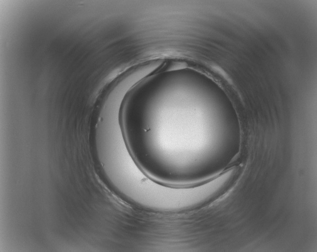 X0000067000922200604142255