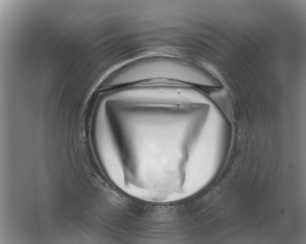 X0000067000923200604142255