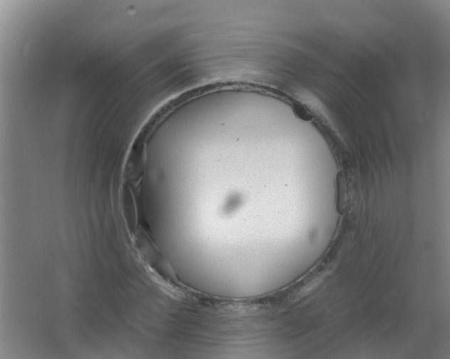 X0000067000924200604142255