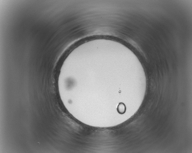 X0000067000926200604142255