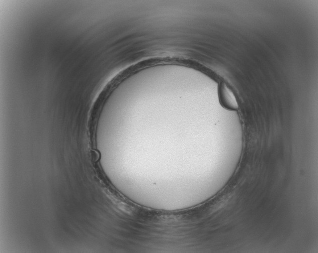 X0000067000927200604142255