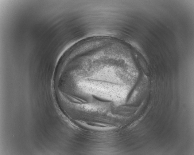 X0000067000928200604142255