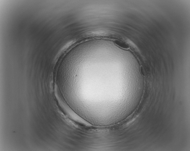 X0000067000930200604142255