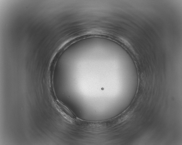 X0000067000931200604142255