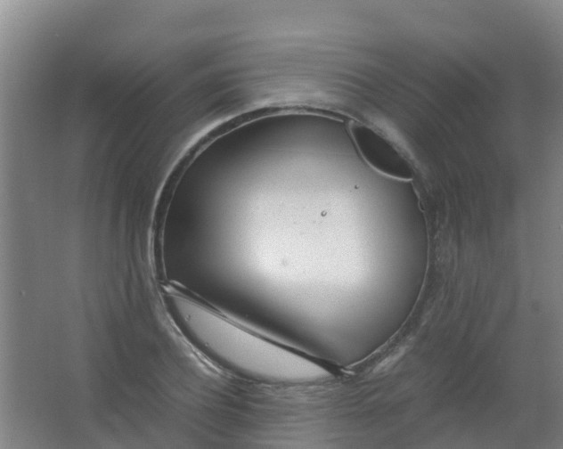 X0000067000932200604142255