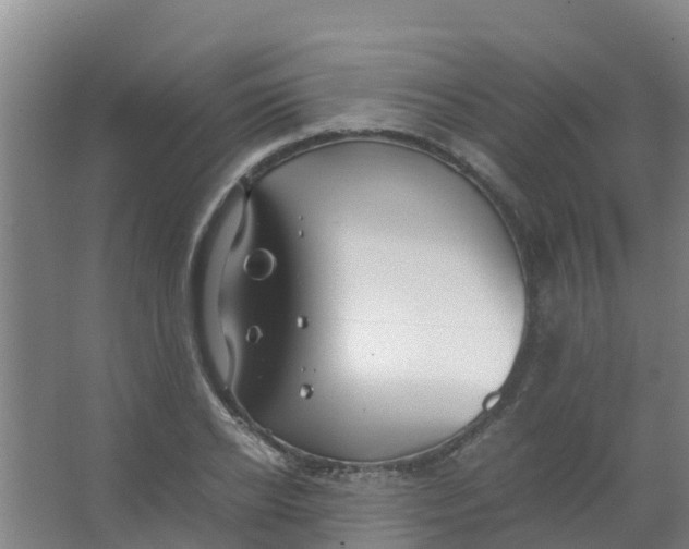 X0000067000934200604142255