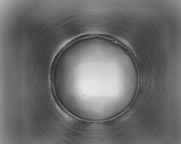 X0000067000935200604142255