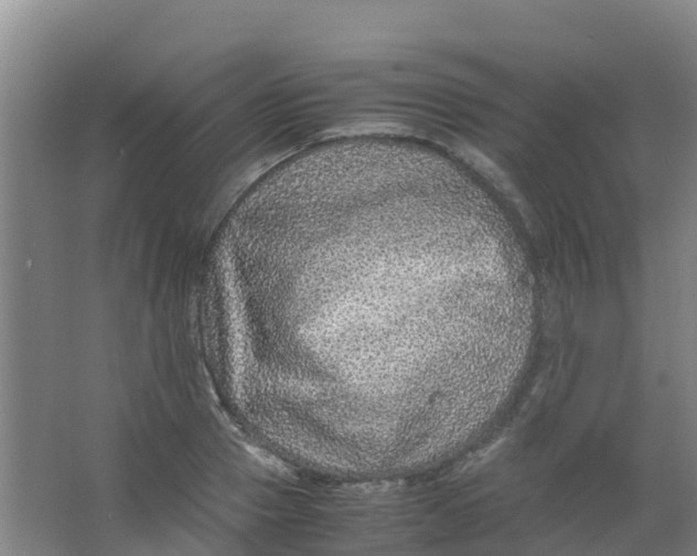 X0000067000937200604142255