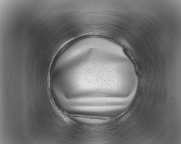 X0000067000940200604142255