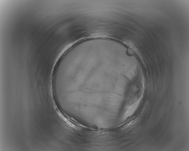 X0000067000941200604142255