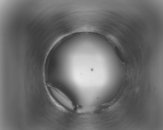 X0000067000942200604142255