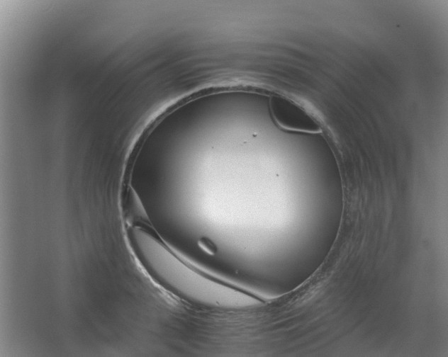 X0000067000943200604142255