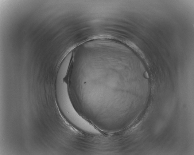 X0000067000945200604142255