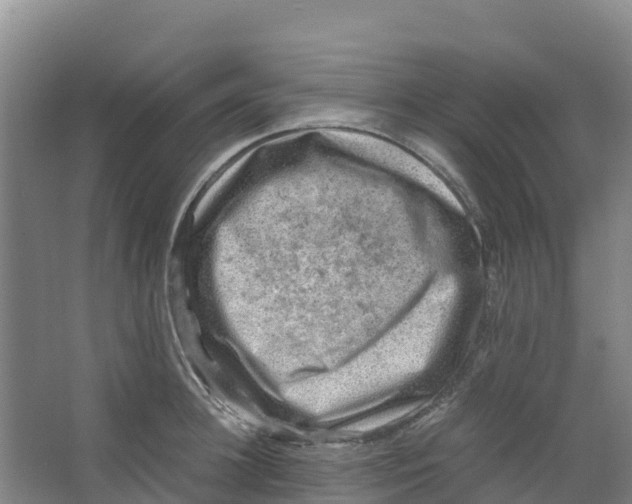 X0000067000948200604142255