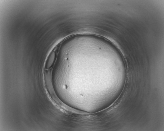 X0000067000949200604142255