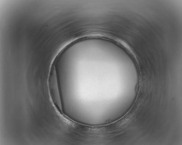 X0000067000951200604142255