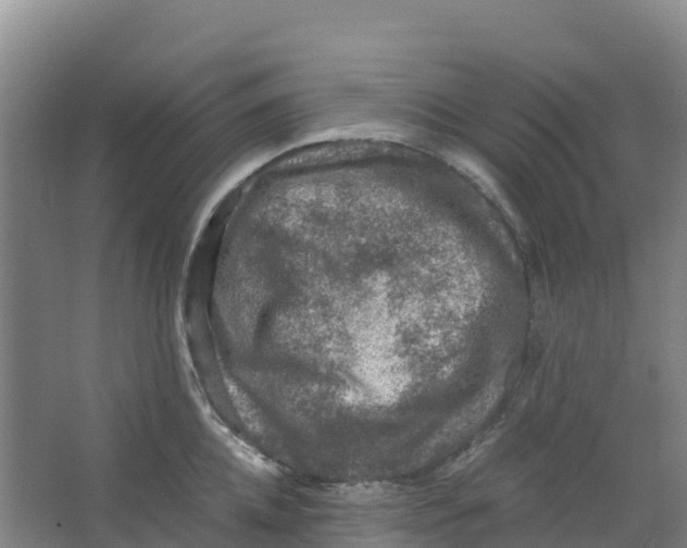 X0000067000952200604142255