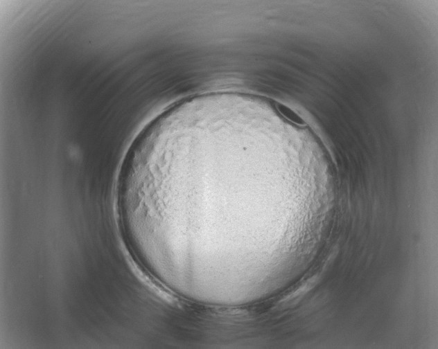 X0000067000957200604142255