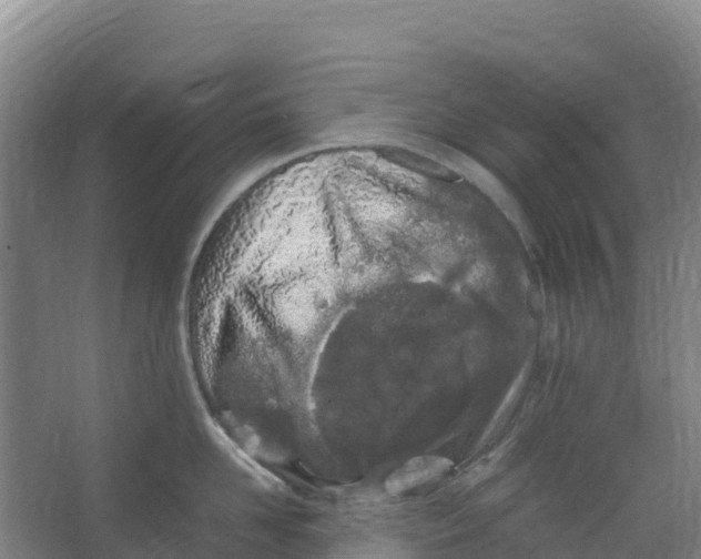 X0000067000958200604142255