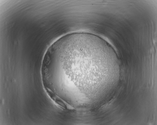 X0000067000959200604142255