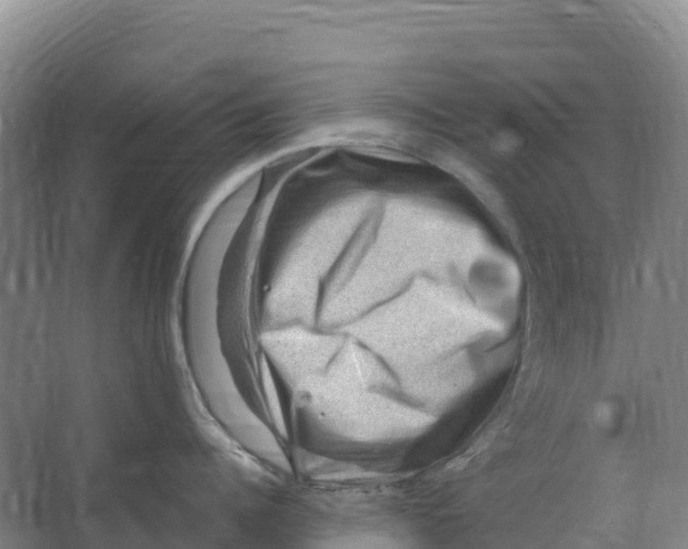 X0000067000960200604142255