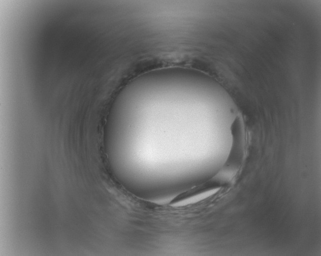 X0000067000961200604142255