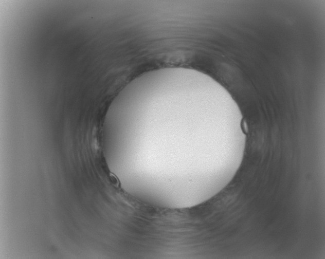 X0000067000962200604142255