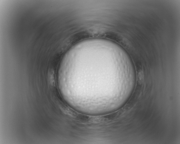 X0000067000963200604142255