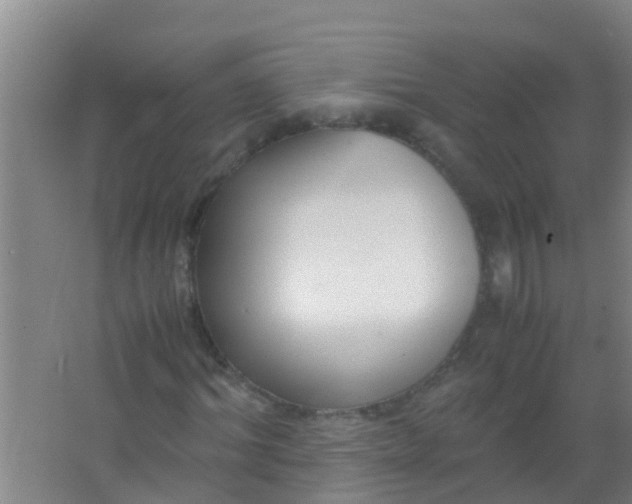 X0000067000964200604142255