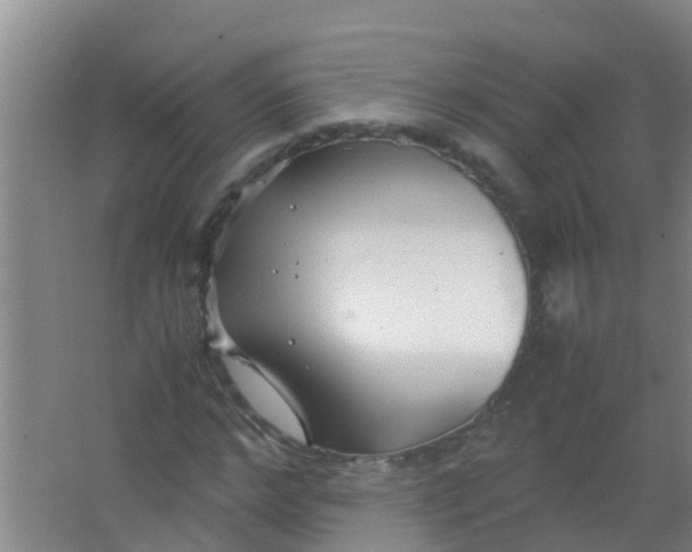 X0000067000968200604142255