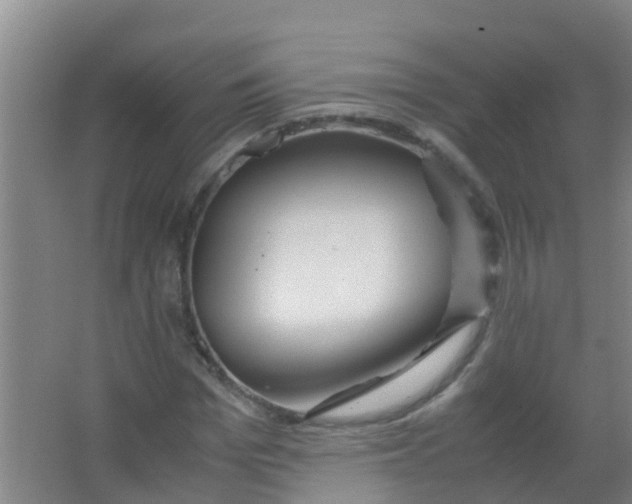 X0000067000969200604142255