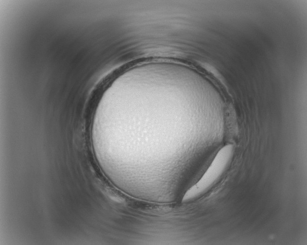 X0000067000971200604142255