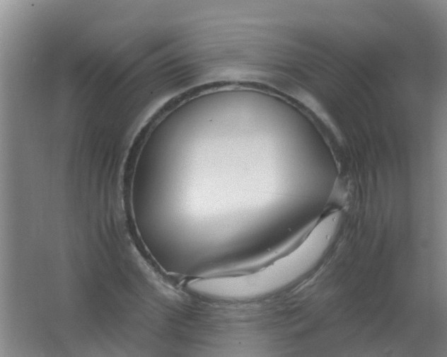 X0000067000972200604142254