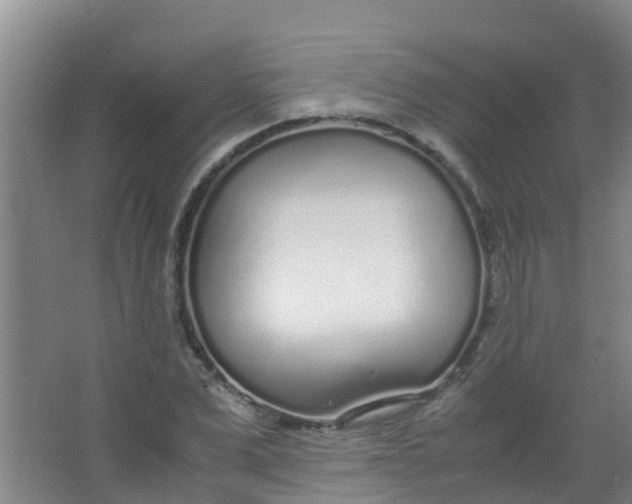 X0000067000975200604142254