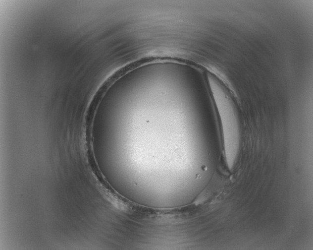 X0000067000976200604142254