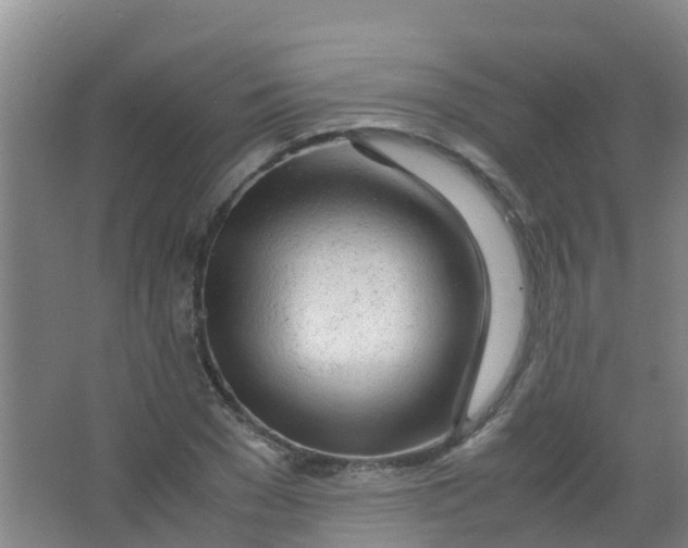 X0000067000977200604142254