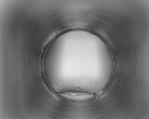 X0000067000978200604142254