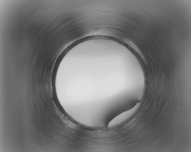 X0000067000980200604142254