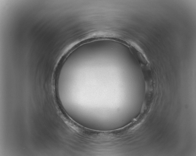 X0000067000981200604142254