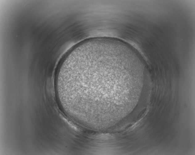 X0000067000982200604142254