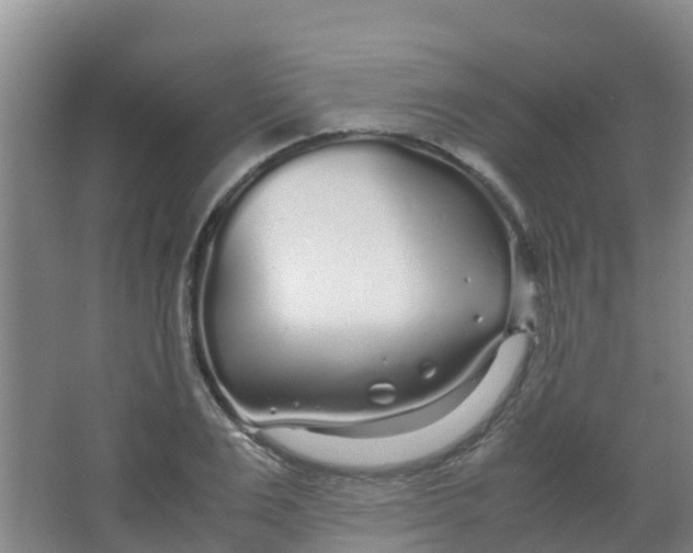 X0000067000983200604142254