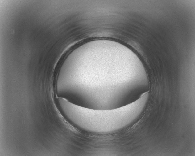 X0000067000984200604142254