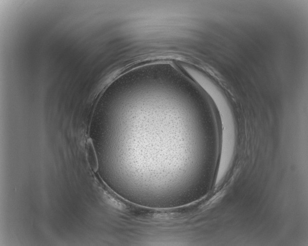 X0000067000985200604142254