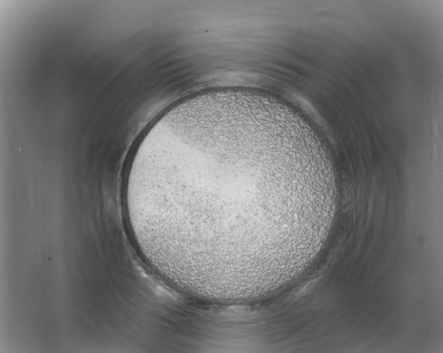 X0000067000986200604142254