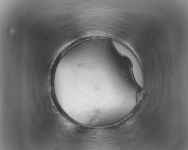 X0000067000987200604142254